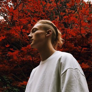 Image for 'Yellow Days'