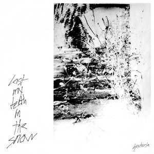 “lost my teeth in the snow”的封面