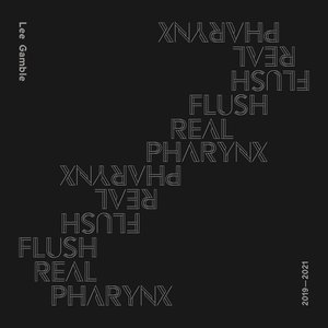 Immagine per 'Flush Real Pharynx 2019-2021'