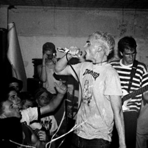Image for 'Gorilla Biscuits'