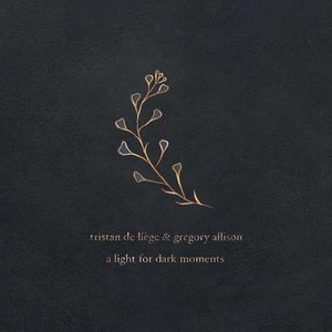 Изображение для 'A Light For Dark Moments'