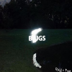 Bild für 'Bugs'