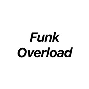 Image for 'Funk Overload'