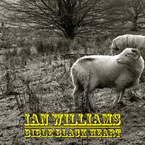 'Ian Williams & The Beale St Whalers'の画像