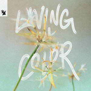Image for 'Living in Color'