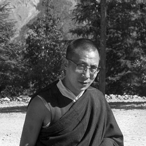Bild für 'Dalai Lama'