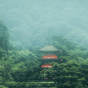 Image for 'Temple'