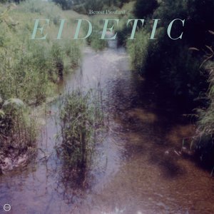 Image for 'Eidetic'