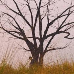 Image for 'zachsu'