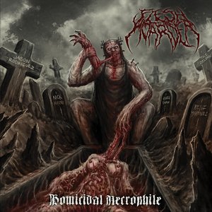 Image for 'Homicidal Necrophile'