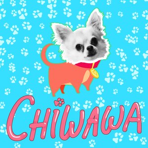 Image for 'Chiwawa'