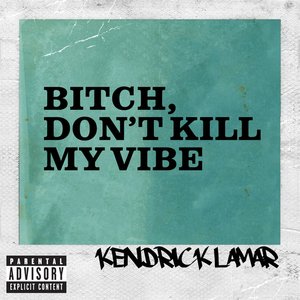 Immagine per 'Bitch, Don't Kill My Vibe'