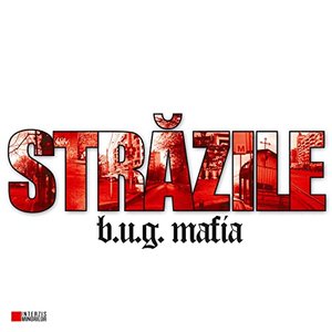 Immagine per 'Strazile (maxi-single)'