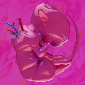 'ekkolaptόmenos'の画像