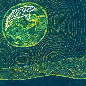 “Superorganism”的封面