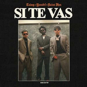 Image for 'SI TE VAS'