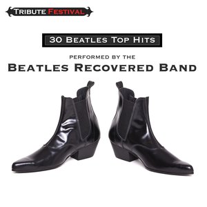 Image for '30 Beatles Top Hits'