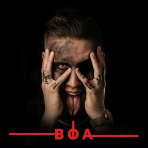 “BOA”的封面