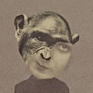 lim-fa