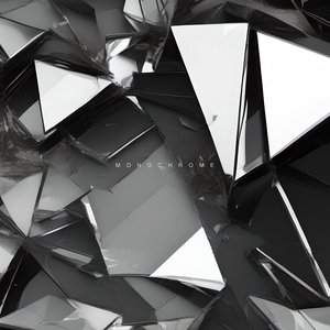 Image for 'Monochrome'