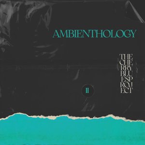 Image for 'Ambienthology, Vol. 2'