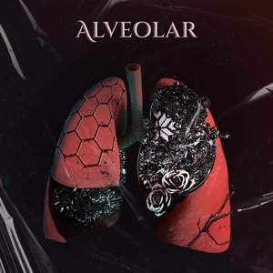 Изображение для 'Alveolar'