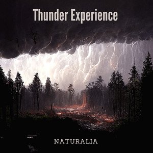 Image for 'Thunder Experience'