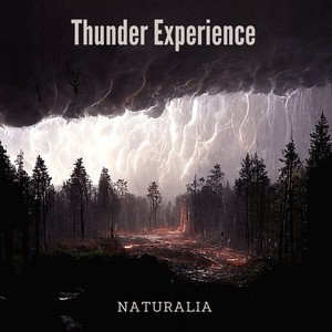 'Thunder Experience'の画像