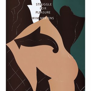 Image for 'Struggle For Pleasure'