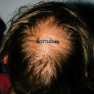 Image for 'dorndom'
