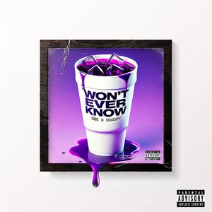 “Won't Ever Know”的封面