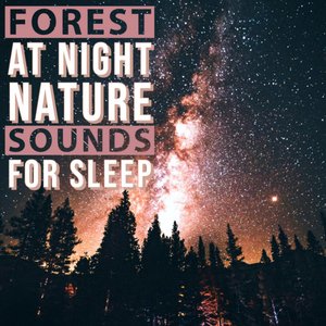 Image pour 'Forest at Night - Nature Sounds for Sleep'