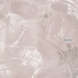 Image for 'Snow Drop'
