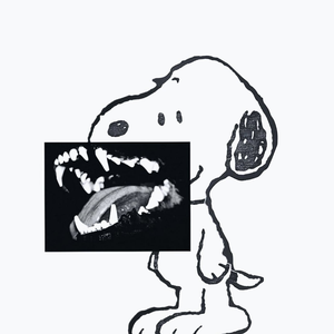 flackojodye17