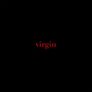 Image for 'virgin'