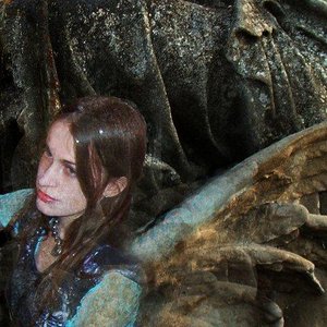 Image for 'The Silver Wizard Project'