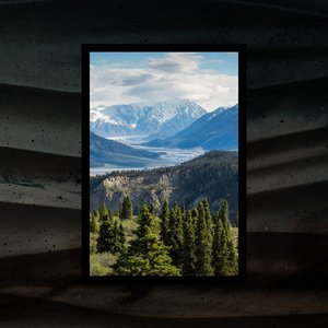 Image pour 'Evergreen'
