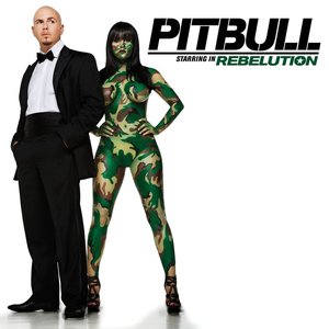 Immagine per 'Pitbull Starring In Rebelution'