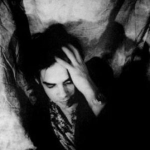 Bild för 'Nick Cave'