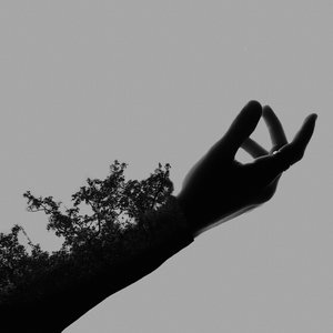 “Fragility”的封面