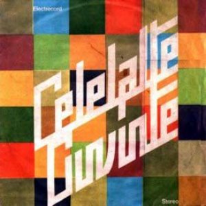 Image for 'Celelalte Cuvinte'