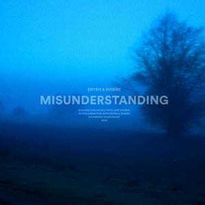 Image for 'misunderstanding'