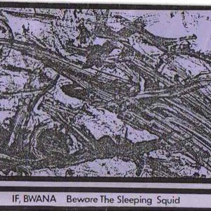 Image for 'Beware The Sleeping Squid'