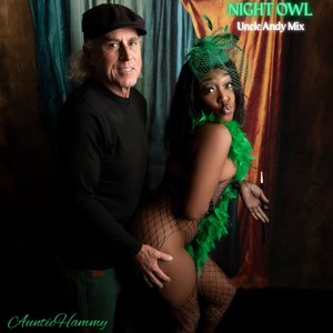 Image for 'Night Owl (Uncle Andy Mix)'