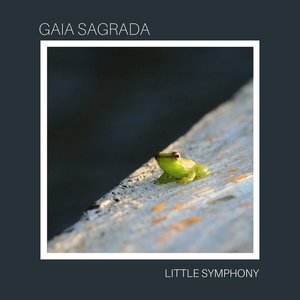 “Gaia Sagrada”的封面