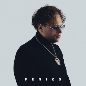 Image for 'Feniks'