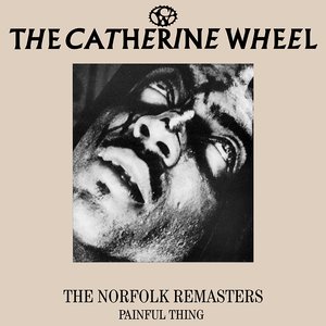 “The Norfolk Remasters - Painful Thing”的封面