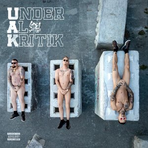 Image for 'Under Al Kritik'