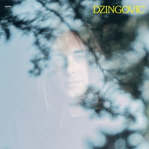 Image for 'Dzingovic'