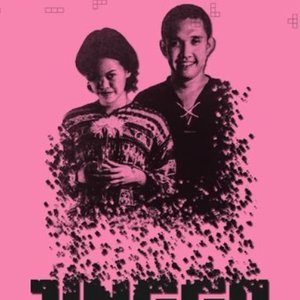 Image for 'Jingga'